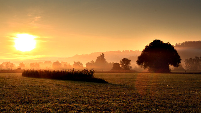 Early Autumn Morning Mist