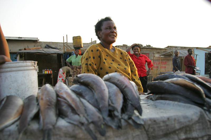 A woman fish trader sells her products in Zambia. Photo by Stevie Mann.