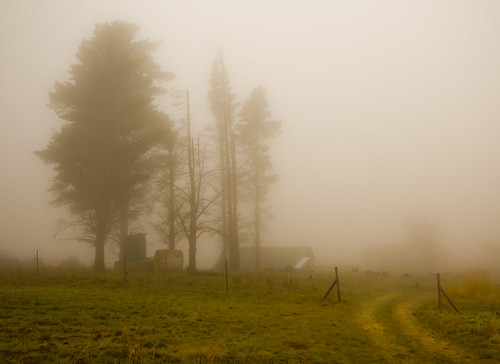 park mist fog canon landscape sigma national goldengate 1020mm freestate 550d southaarica