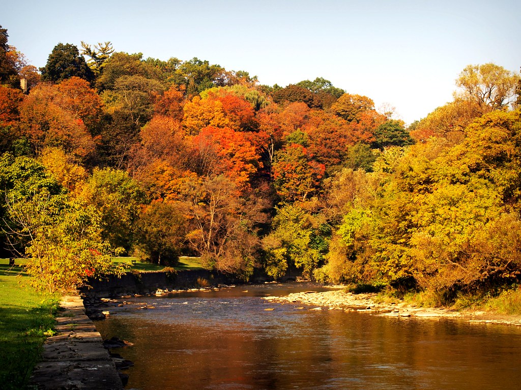 Maple, Ontario