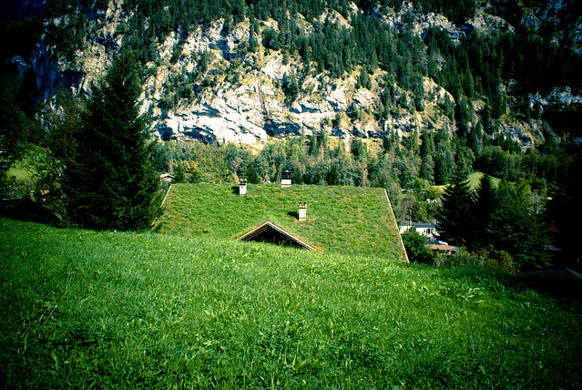 hidden house in the valley