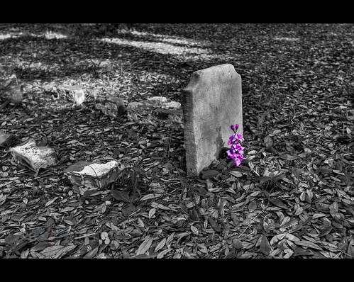 flowers shadow grave graveyard leaves landscape nc bricks tripod northcarolina southport hdr gitzo photomatix 7exposure arcatech gt2531 oldsmithvilleburyingground nikonafsnikkor1635mmf4gedvr misseliza
