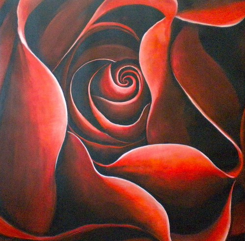 Close-up red rose with curling petals