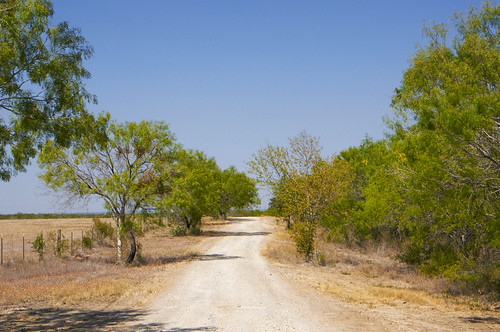 Country Road in South Texas, texas southtexas atascosacounty