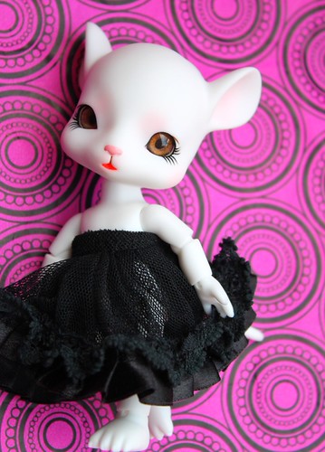 Dormouse | by pullip_junk