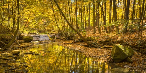 autumn fall leaves creek forest afternoon boulder steam cuyahogavalleynationalpark