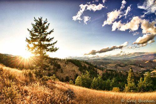 trees sunset sky mountains grass clouds forest woods scrub ridgeline steppes