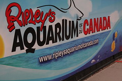 Ripley's Aquarium is Coming to Town