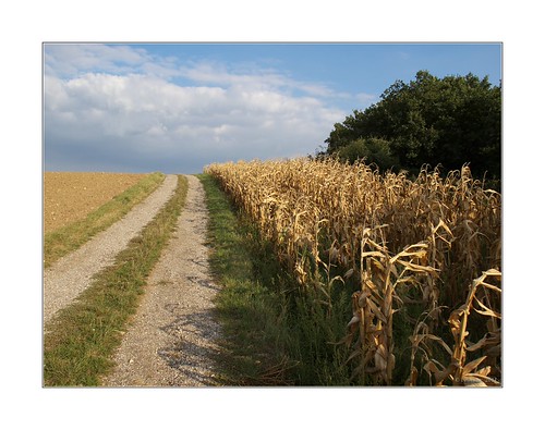 Altmanns by Georg W. "Ventoux", landschaft weinviertel