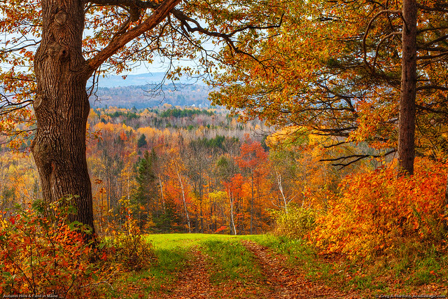 Autumn Hills & Field