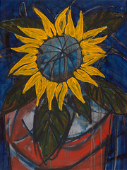 Hubbard's Sunflower