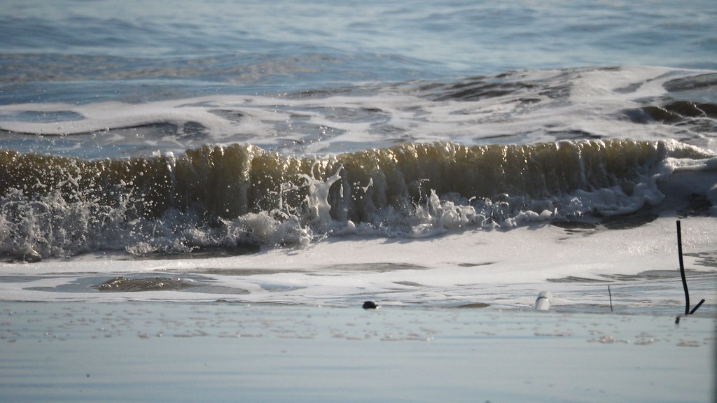 Wave | OLYMPUS DIGITAL CAMERA | carlinsc | Flickr