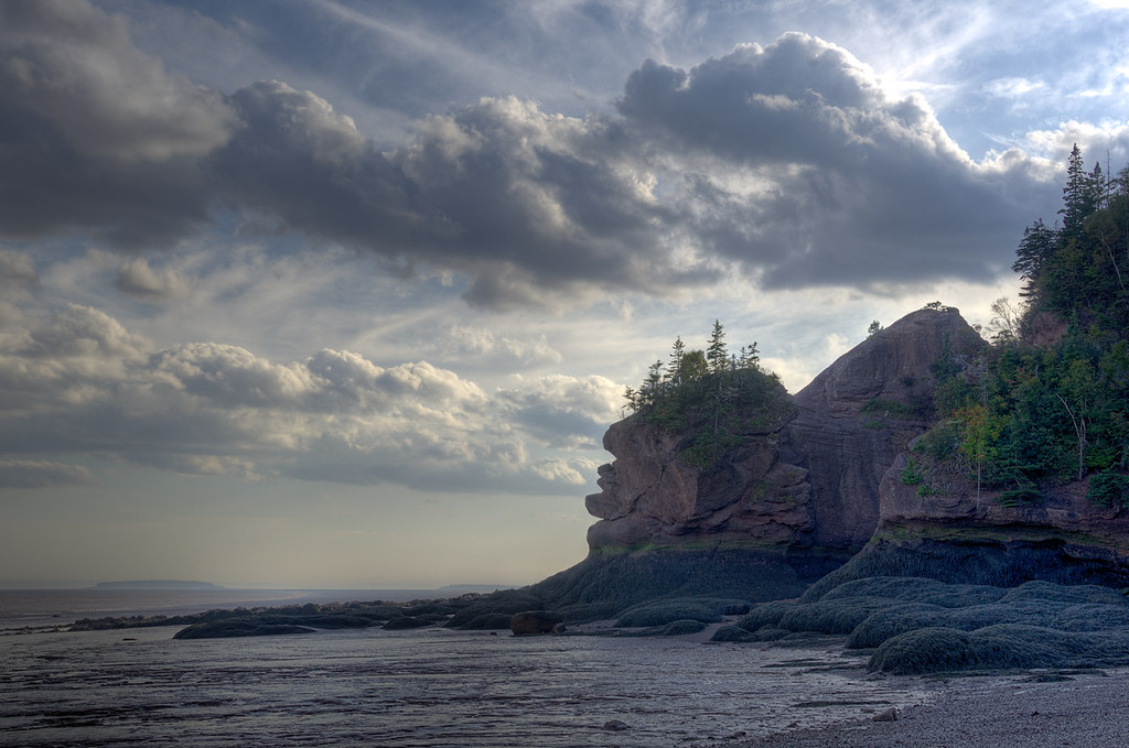 low tide -- hopewell rocks (I) by Brian D. Tucker