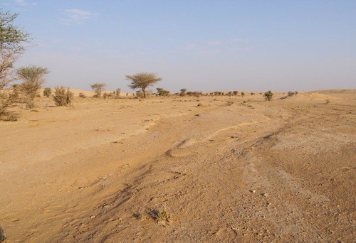 day desert saudi desertcampout pwpartlycloudy