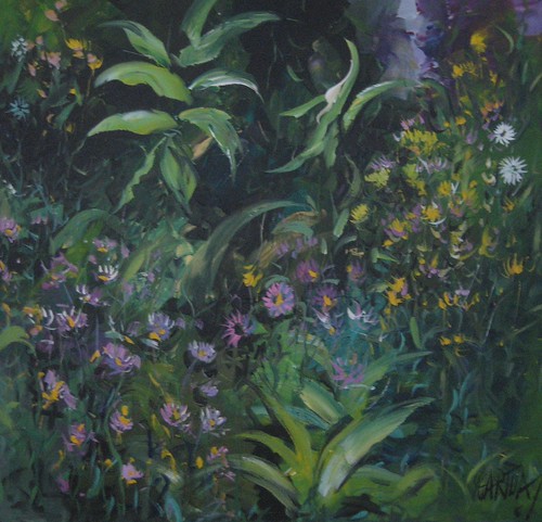 Small garden flowers among dark green leaves