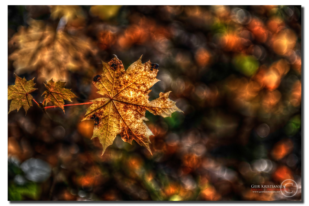 Autumn Colors | Couldn't really think of a better title for … | Flickr