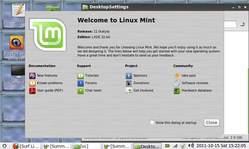 Linux Mint LXDE. LXDE 11. Linux Mint оболочка LXDE. Как лучше разделить диска линукс минт.