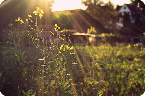 simple and small | by FlavioSarescia
