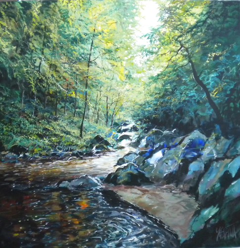 Shallow forest stream over mossy rocks