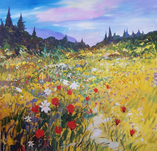 Wildflower meadow bordered by evergreen trees