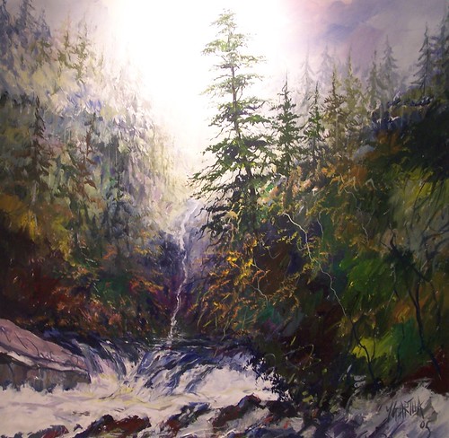 Water cascading through a rocky forest gorge