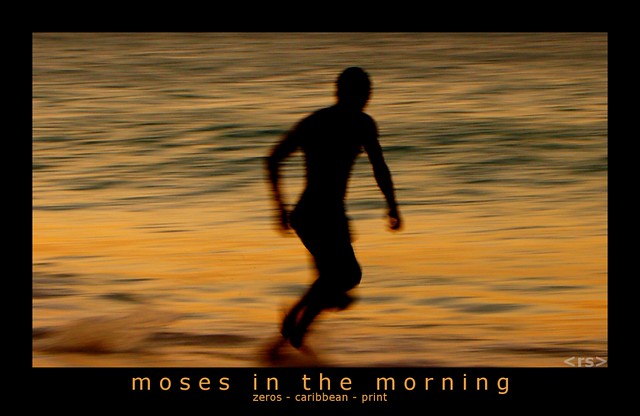 moses in the morning (a)