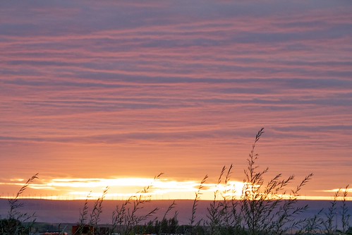 Sunset at the Ranch 8 by estutes, sunset