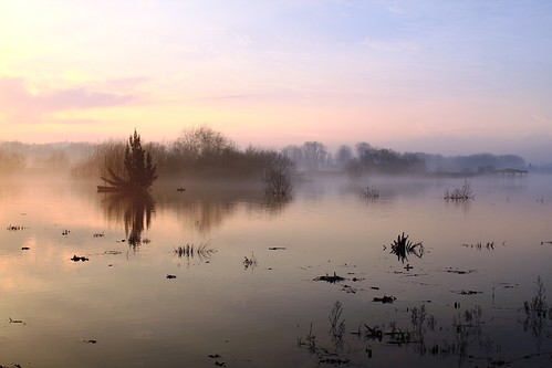 Neblina matinal by Augusto Luís Vieira, Pateira de Fermentelosportugalmagico