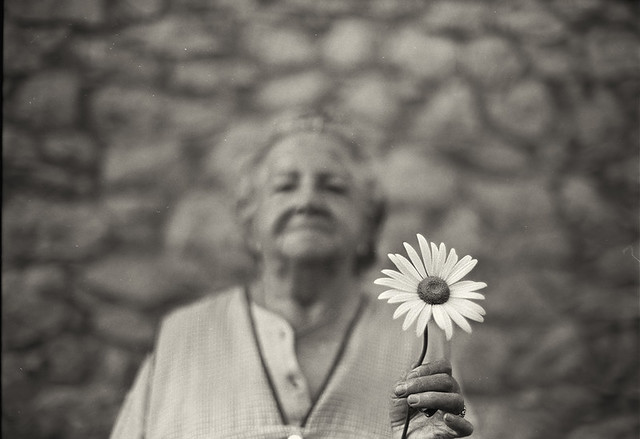 90 años y una flor