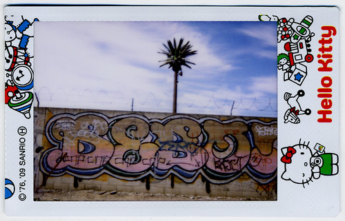 This is not a palm tree. | by QsySue