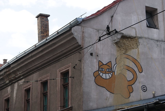 The grinning cat visits Sarajevo