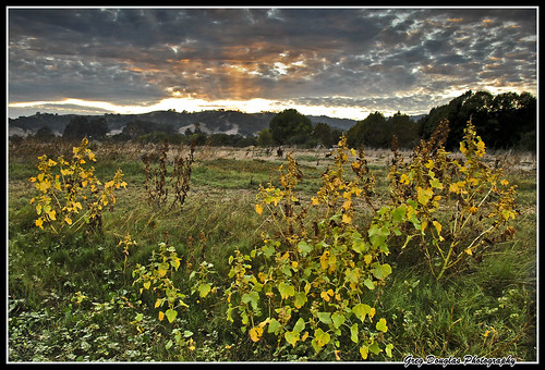 park sunset clouds landscape weeds dusk vacaville ndfilters northernca lagoonvalley
