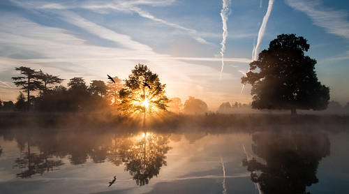 mist lake reflection misty sunrise dawn geese sunburst contrails slough berkshire kevday langleypark flypast