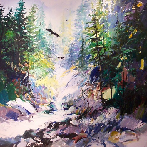 Sunlit creek beneath tall forest trees