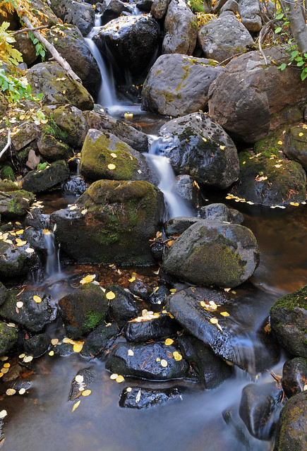 Autumn falls on Como Creek