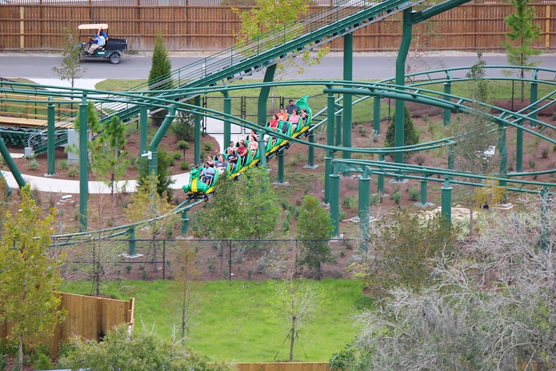 Dragon roller coaster