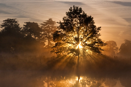 mist lake reflection misty sunrise dawn rays slough berkshire kevday sunbeams langleypark
