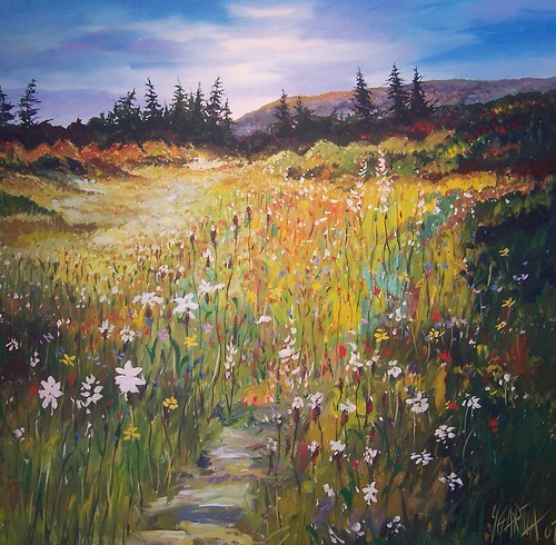 Wildflowers and grasses with distant evergreens