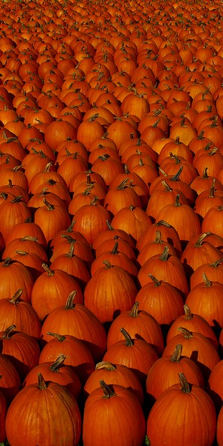 Pumpkins II