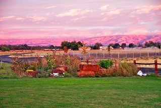 Sunset at the Ranch 13