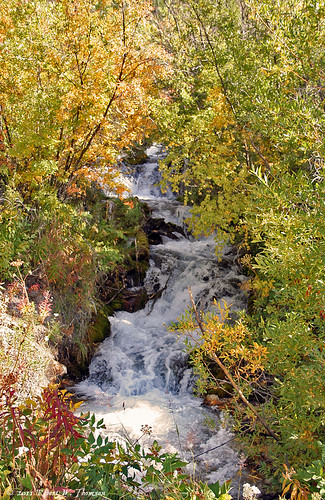 Rocky Mountain Waterfall, mountain fall creek waterfall montana stream autum rockymountains rockymountainfront