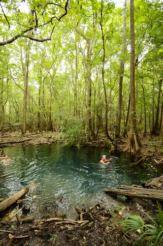 water spring woods florida springs swamp remote freshwater brunsonlandingspring