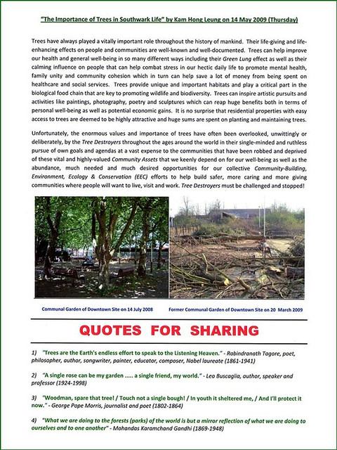 “The Importance of Trees in Southwark Life” by Kam Hong Leung on 14 May 2009