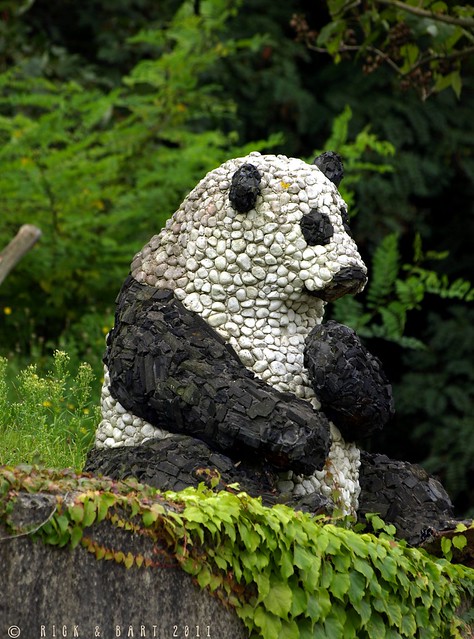 Panda rocks