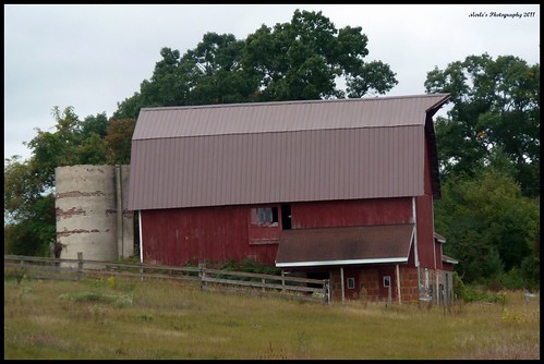 trees red brown green nature wisconsin rural landscape barns fences farms silos picnik
