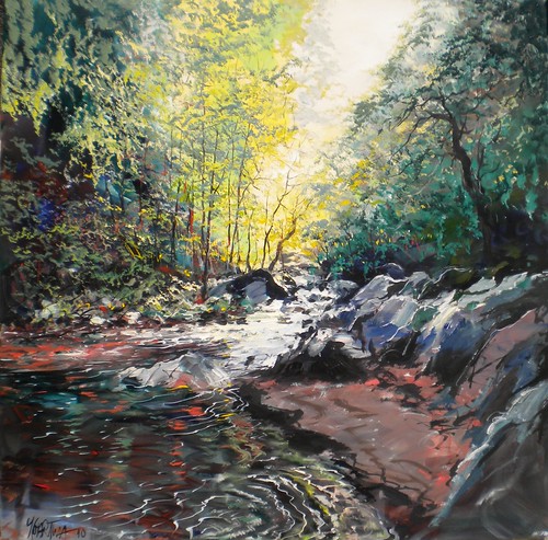 Forest stream with sunlight through foliage