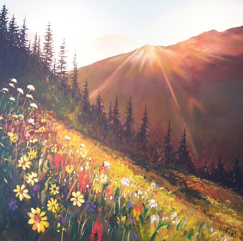 Sunrise over a mountain wildflower meadow