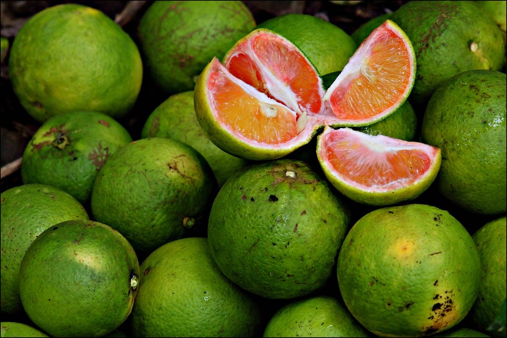 Африканские фрукты. Померанец зеленый фрукт. Африканские апельсины. Кубинские зеленые апельсины.