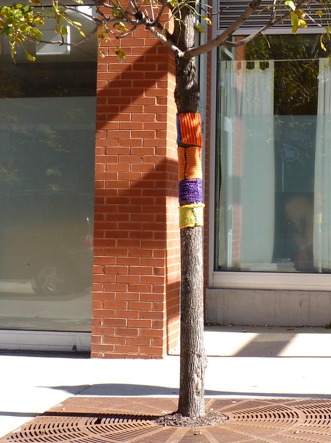 Tree sweater on Halsted