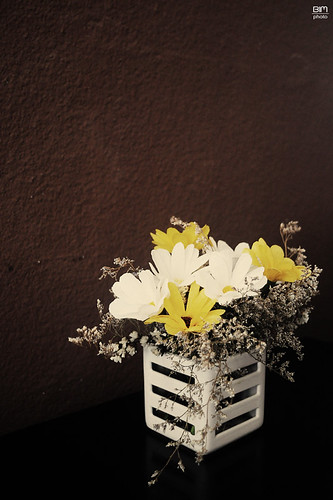 Flowers | by Bim Nguyen™ Photography